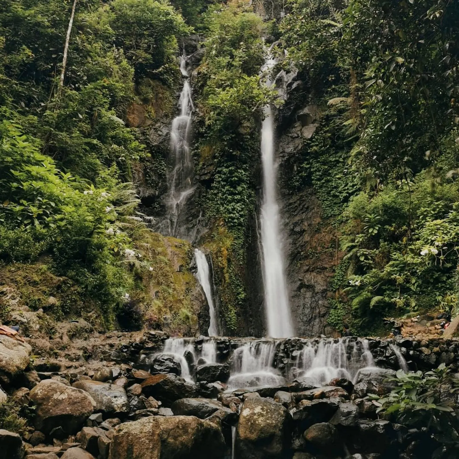 10 Wisata Puncak Bogor untuk Liburan Seru bareng Orang Tersayang