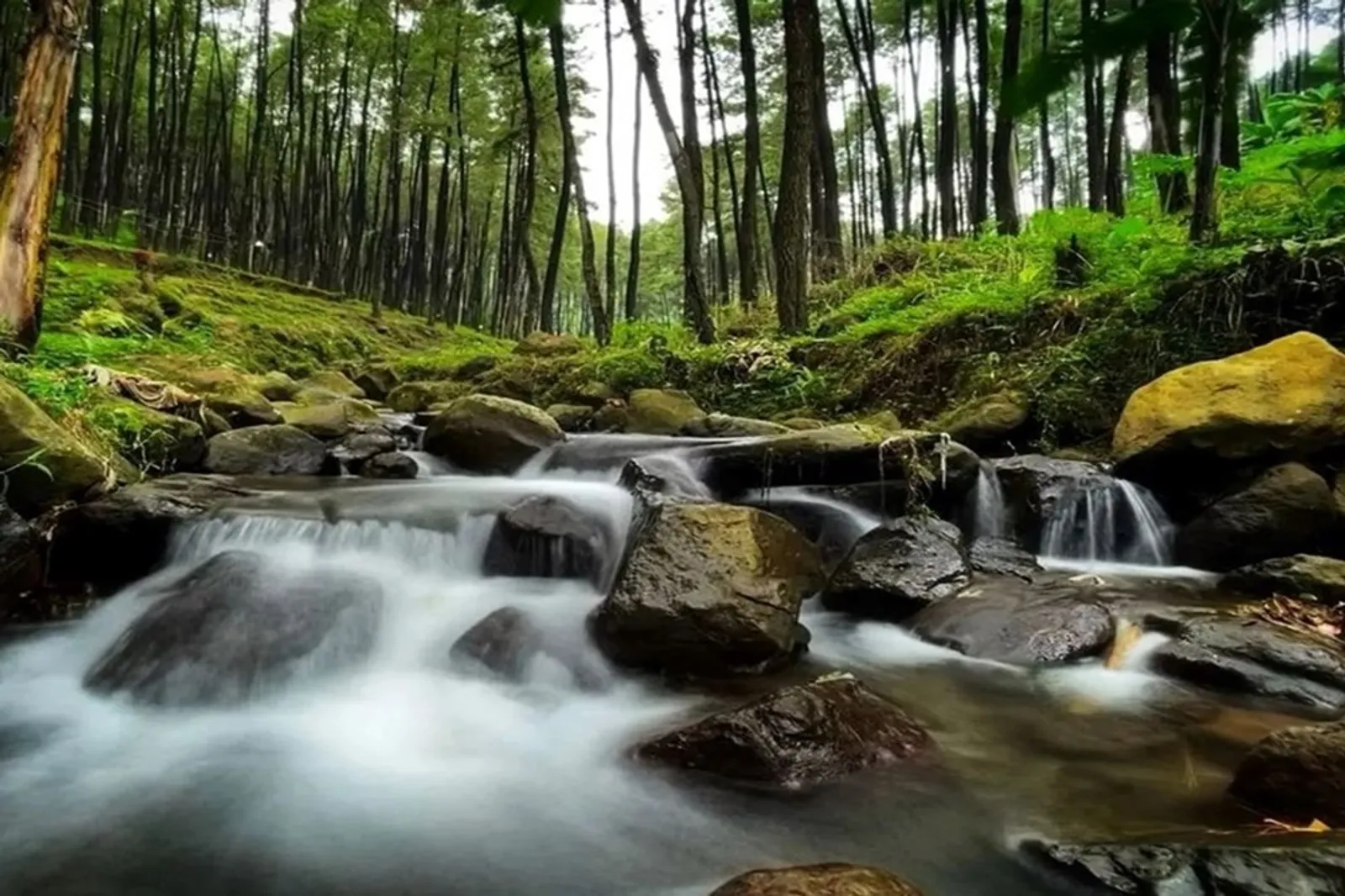 Wisata Kedung Klurak Pacet Mojokerto, Wisata Alam yang Murah Meriah