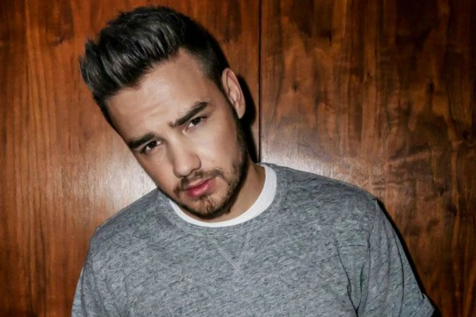 Transformasi Liam Payne: Dari Idola Remaja Hingga Penyanyi Dewasa 