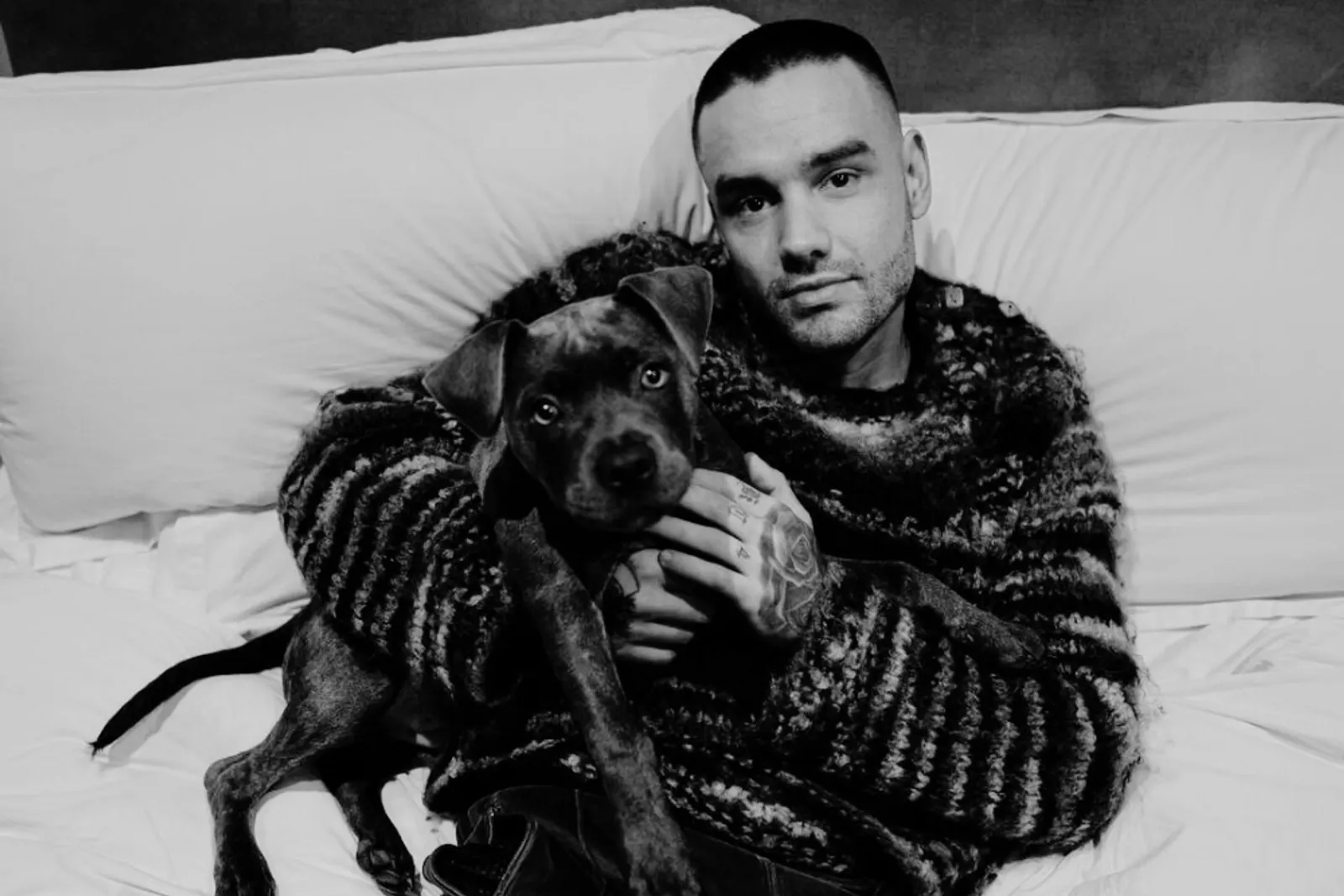 Profil Liam Payne, Eks Anggota One Direction yang Telah Tiada