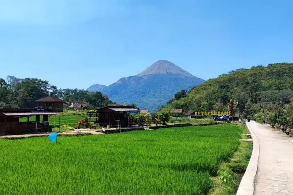 Desa Wisata Ketapanrame: Lokasi, Harga Tiket, dan Daya Tarik