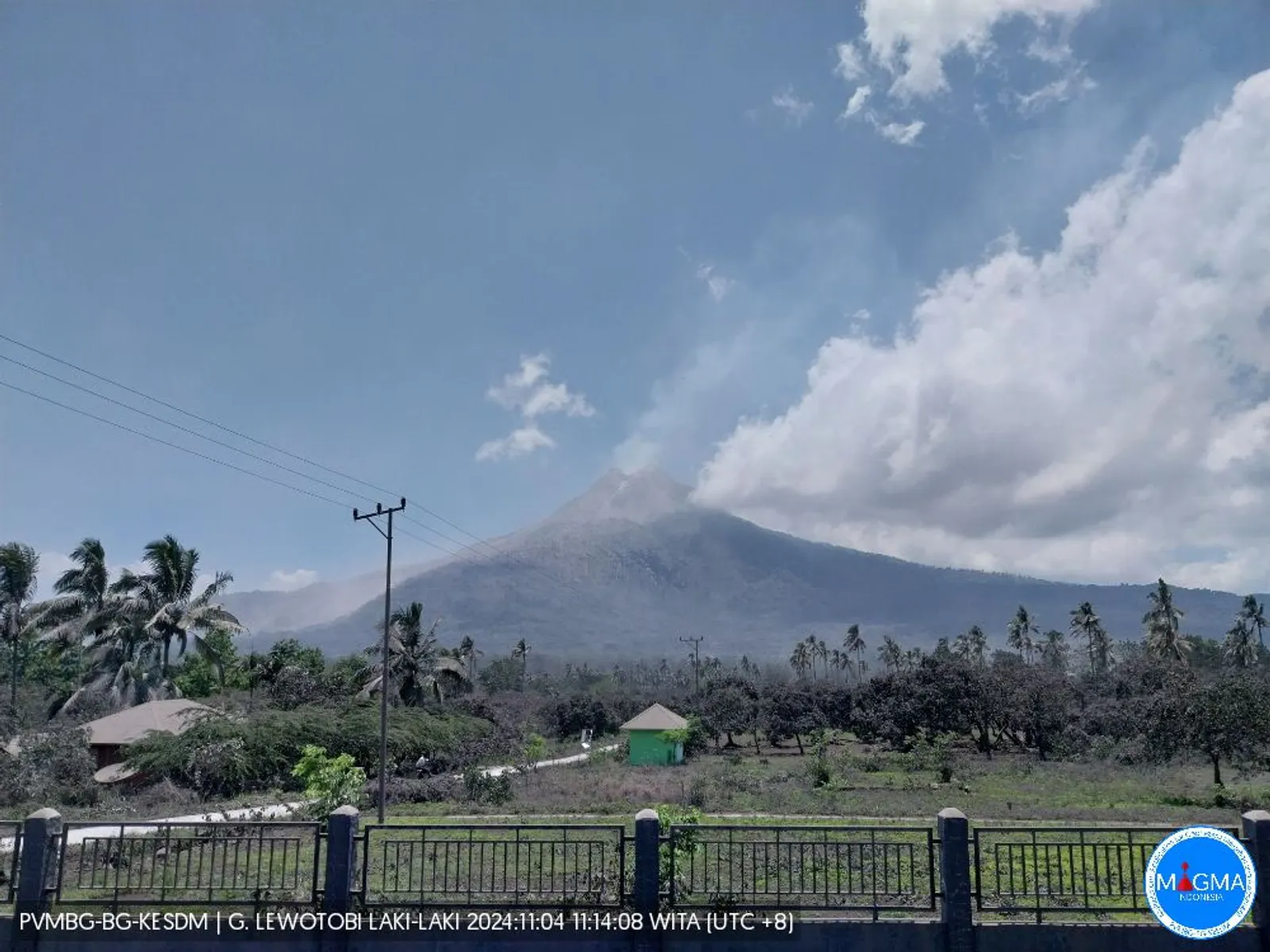 Fakta Meletusnya Gunung Lewotobi Laki-Laki, 10 Orang Meninggal Dunia