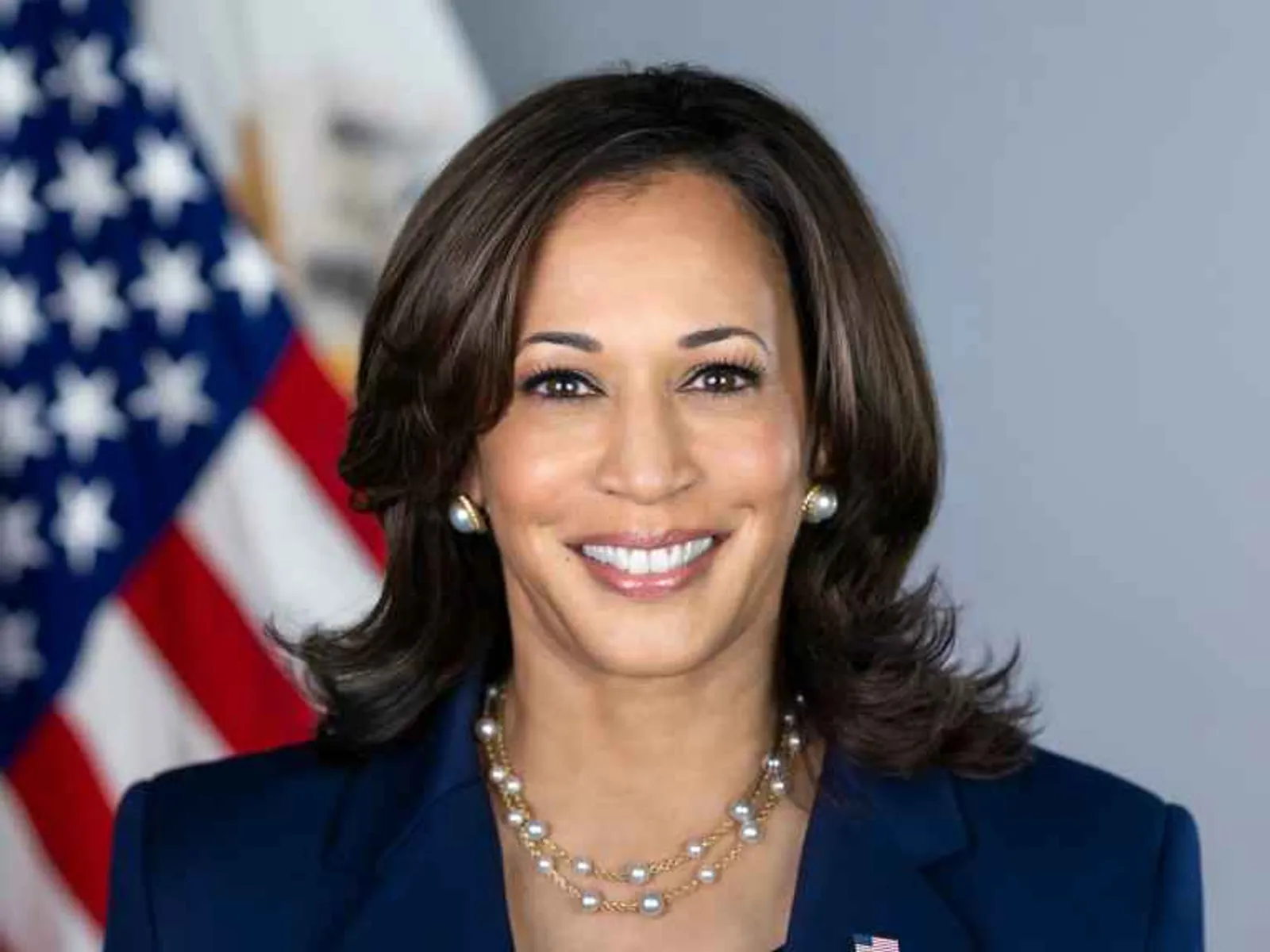 Capai Rp129,84 Miliar, Ini Sumber Kekayaan Kamala Harris