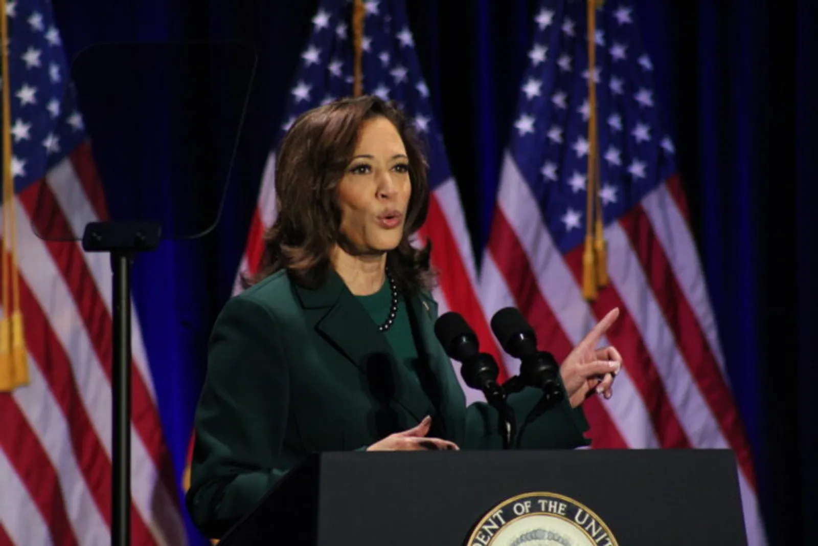 Capai Rp129,84 Miliar, Ini Sumber Kekayaan Kamala Harris