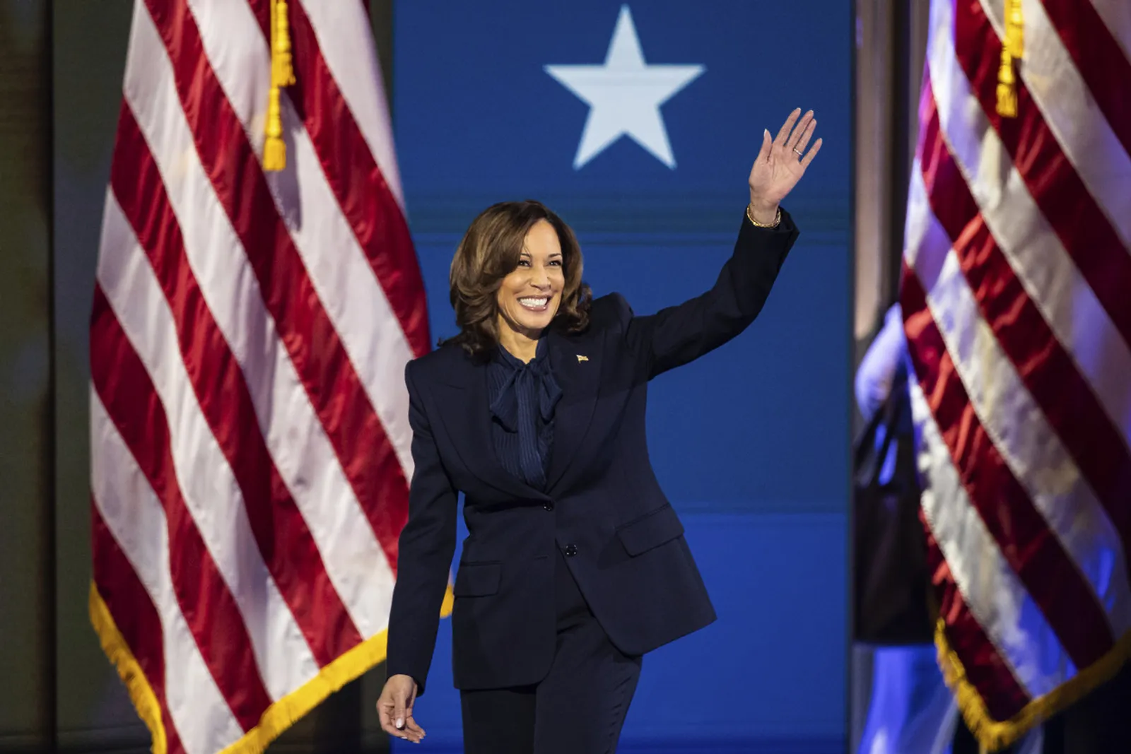 Capai Rp129,84 Miliar, Ini Sumber Kekayaan Kamala Harris