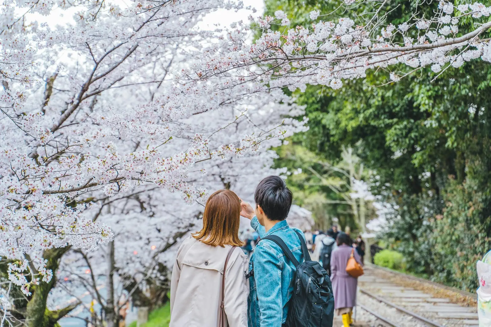 22 Panggilan Sayang Bahasa Jepang Terlengkap