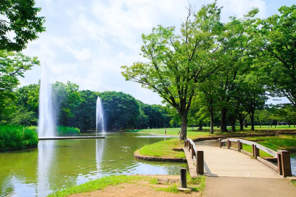 9 Taman Paling Populer di Tokyo, Surga Alam Penuh Damai