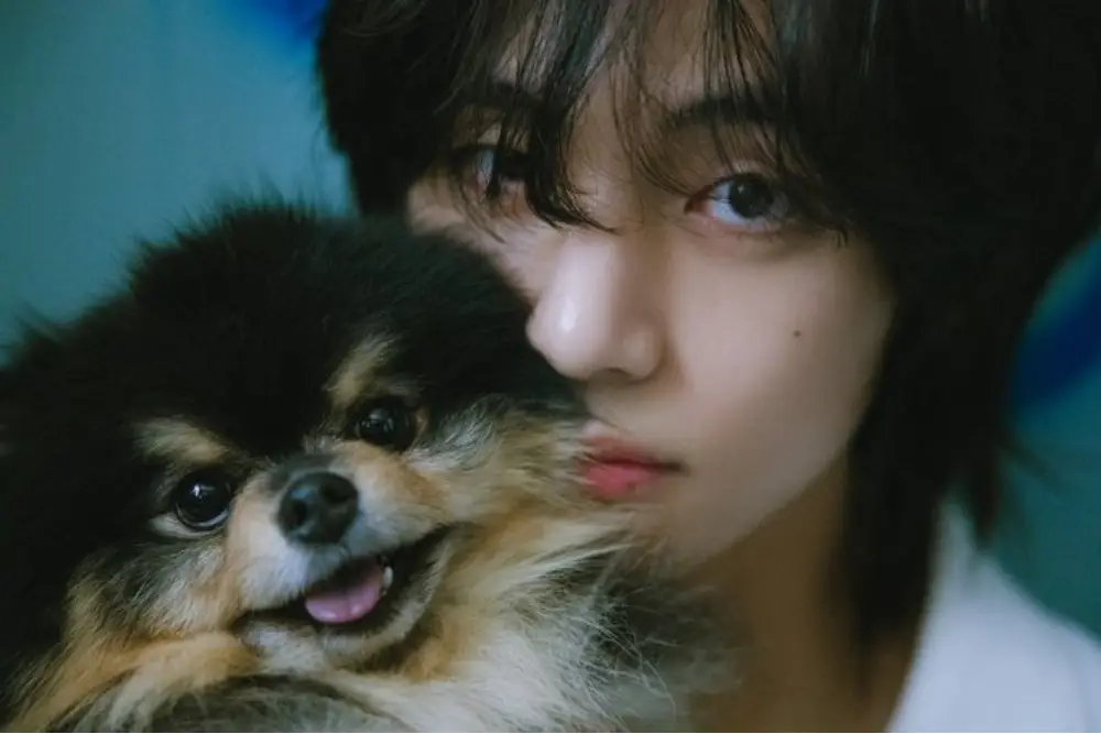 Potret Gemas Yeontan, Anjing Milik V 'BTS' yang Telah Meninggal Dunia