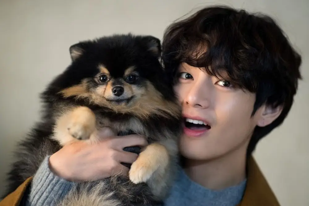 Potret Gemas Yeontan, Anjing Milik V 'BTS' yang Telah Meninggal Dunia