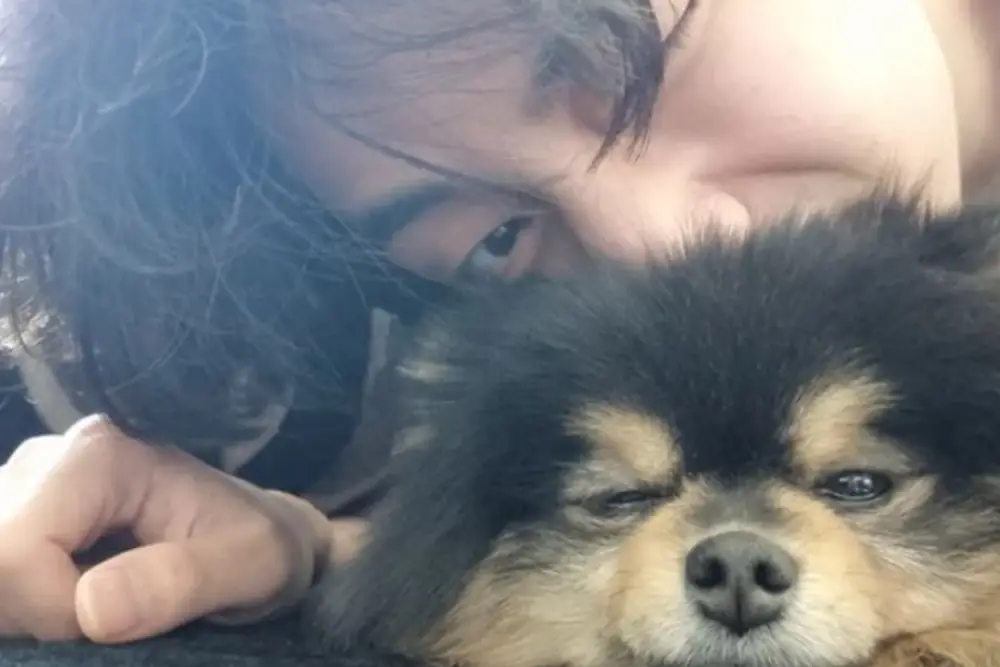 Potret Gemas Yeontan, Anjing Milik V 'BTS' yang Telah Meninggal Dunia