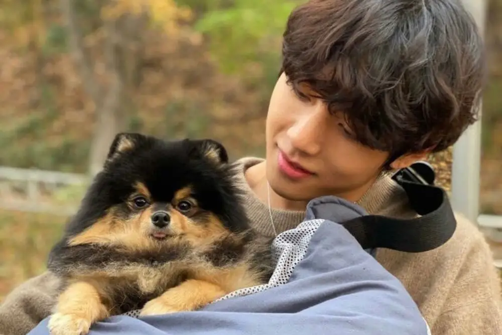 Potret Gemas Yeontan, Anjing Milik V 'BTS' yang Telah Meninggal Dunia