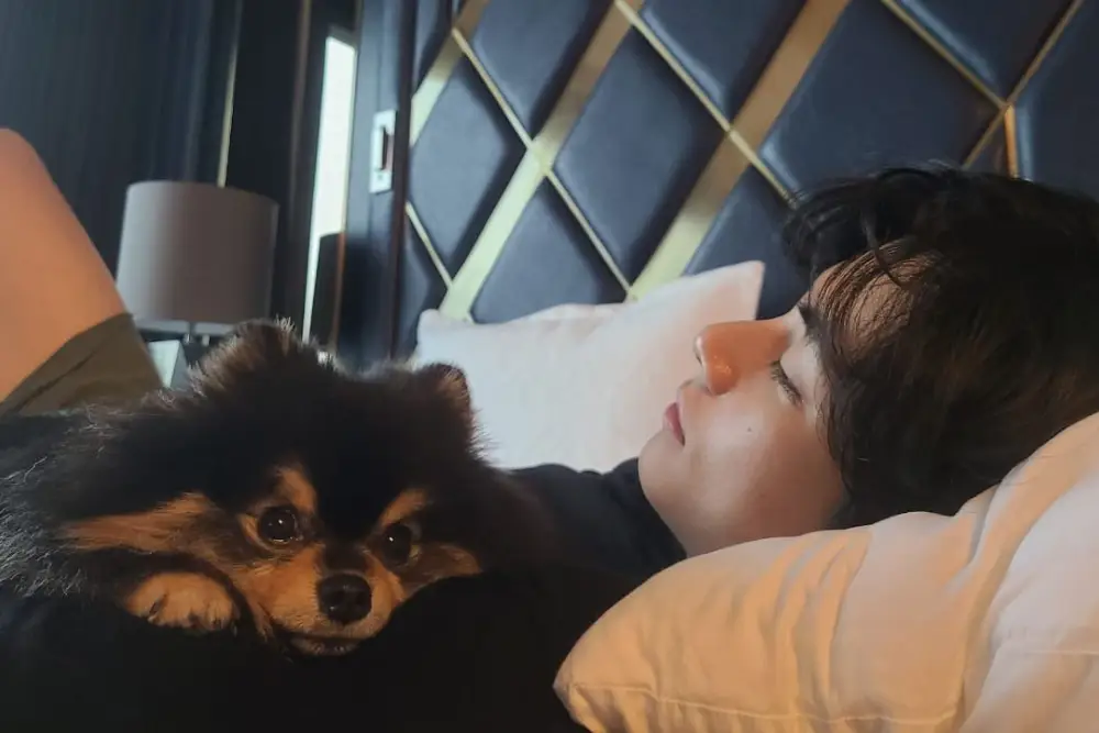 Potret Gemas Yeontan, Anjing Milik V 'BTS' yang Telah Meninggal Dunia