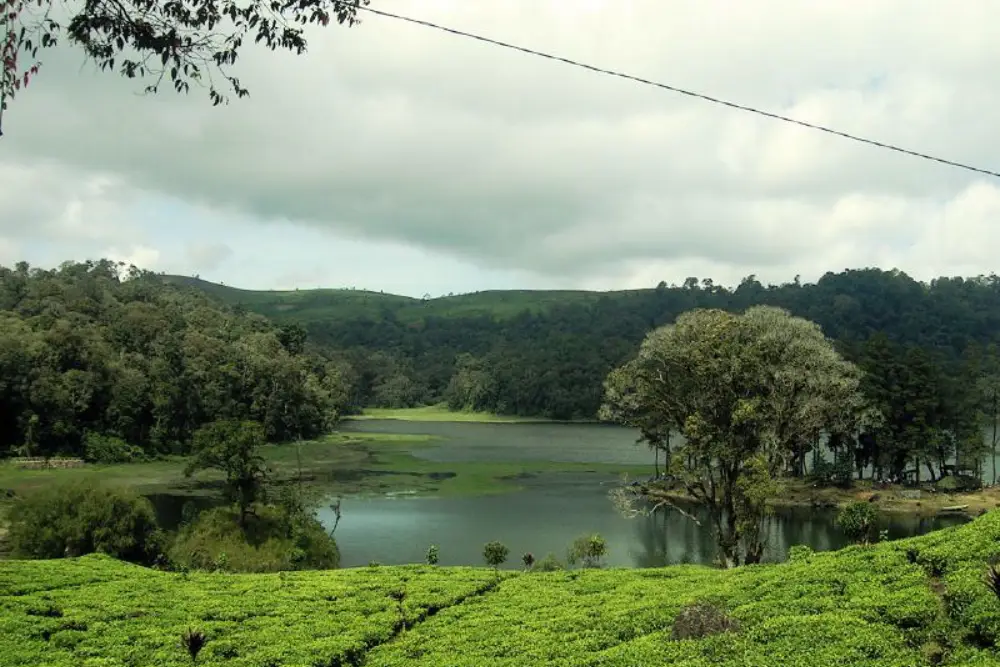 10 Tempat Wisata di Ciwidey yang Lagi Hits dan Terkenal