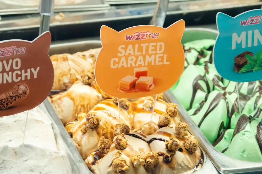 80 Menu Wizzmie Terbaru 2024 dan Harganya, Mie sampai Gelato 