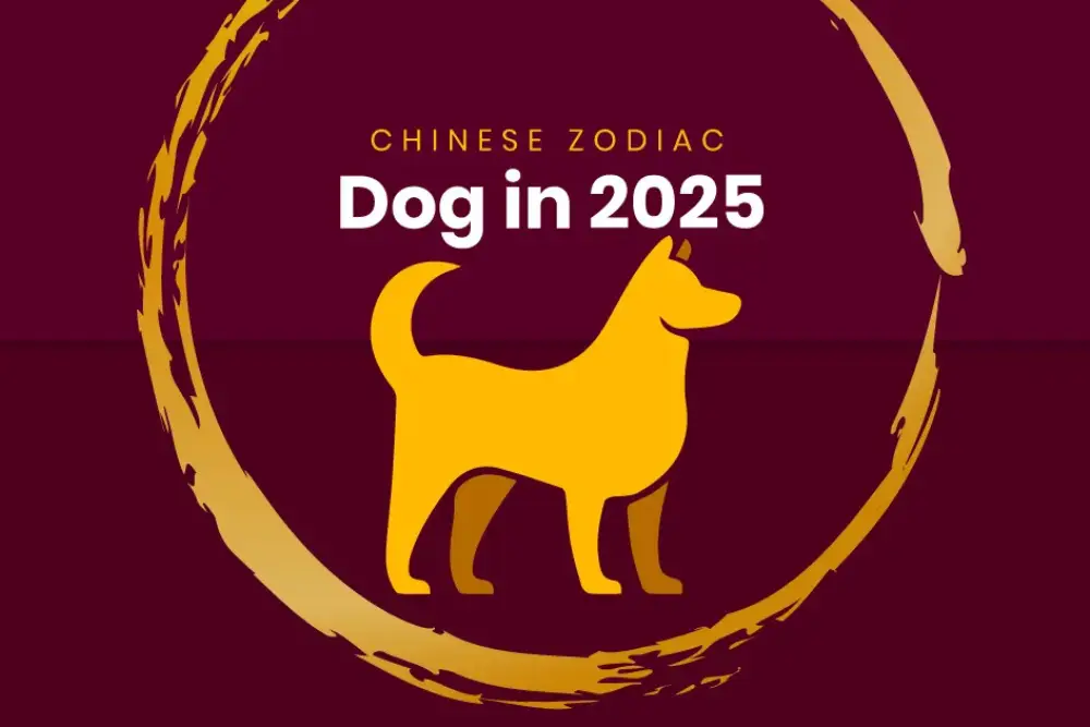 Ramalan Keuangan Shio Anjing Tahun 2025, Akan Terjadi Keberuntungan!