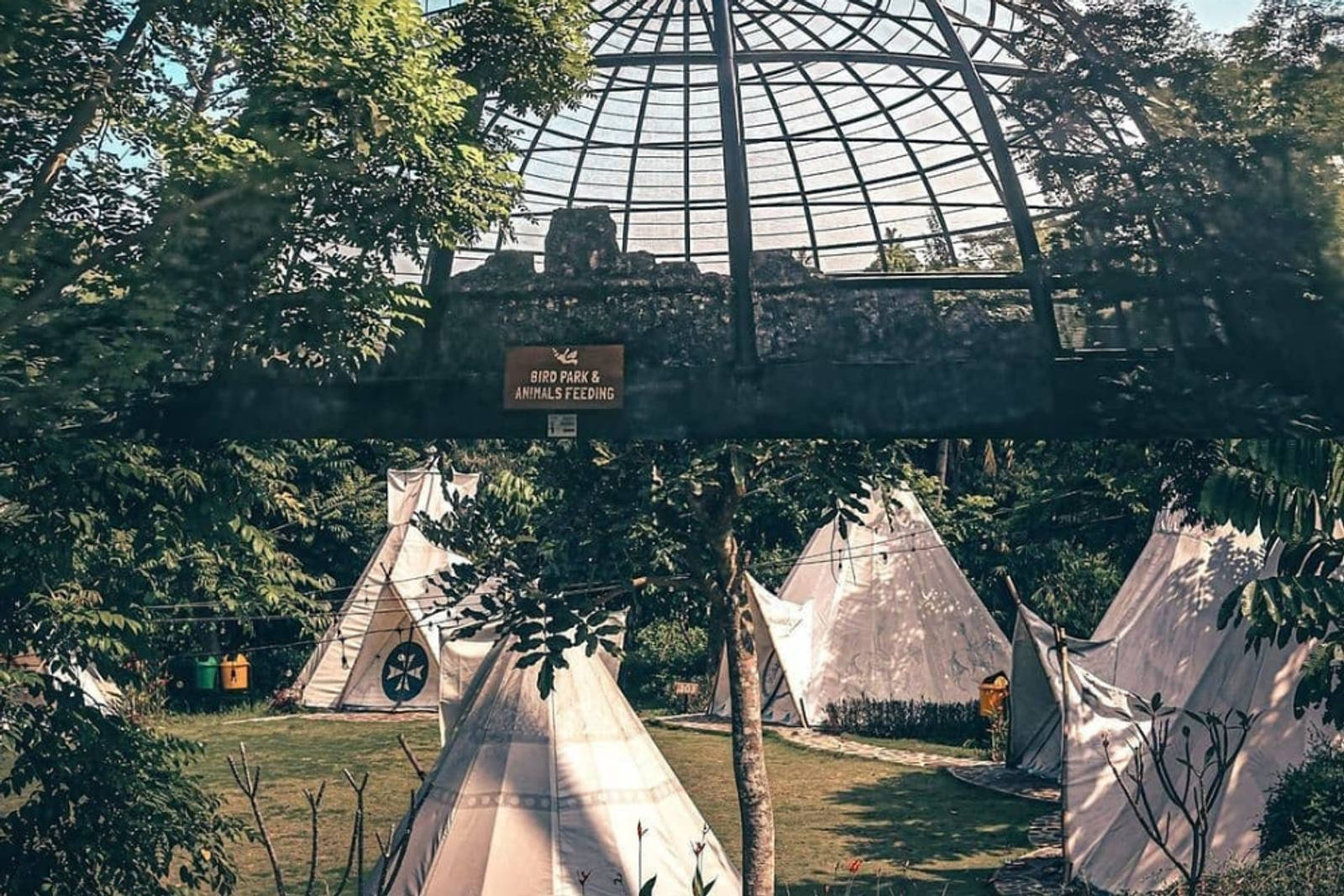 7 Tempat Glamping Sukabumi yang dengan View Terbaik 