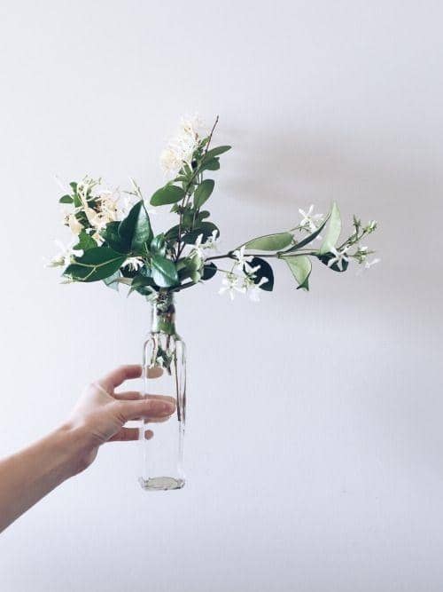 gillianstevens.tumblr.com