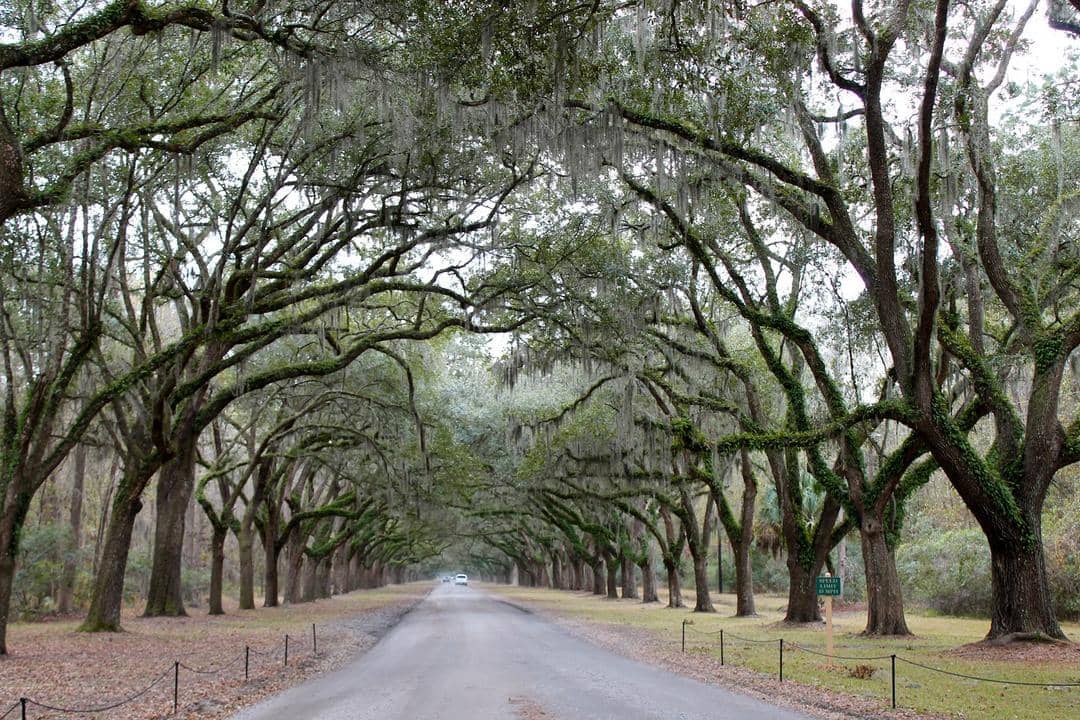 styleofsavannah.blogspot.com