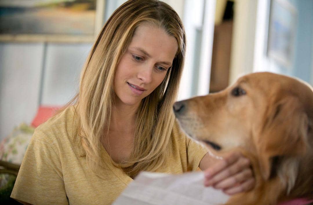 The Choice/Nicolas Sparks/morewallpapers.com