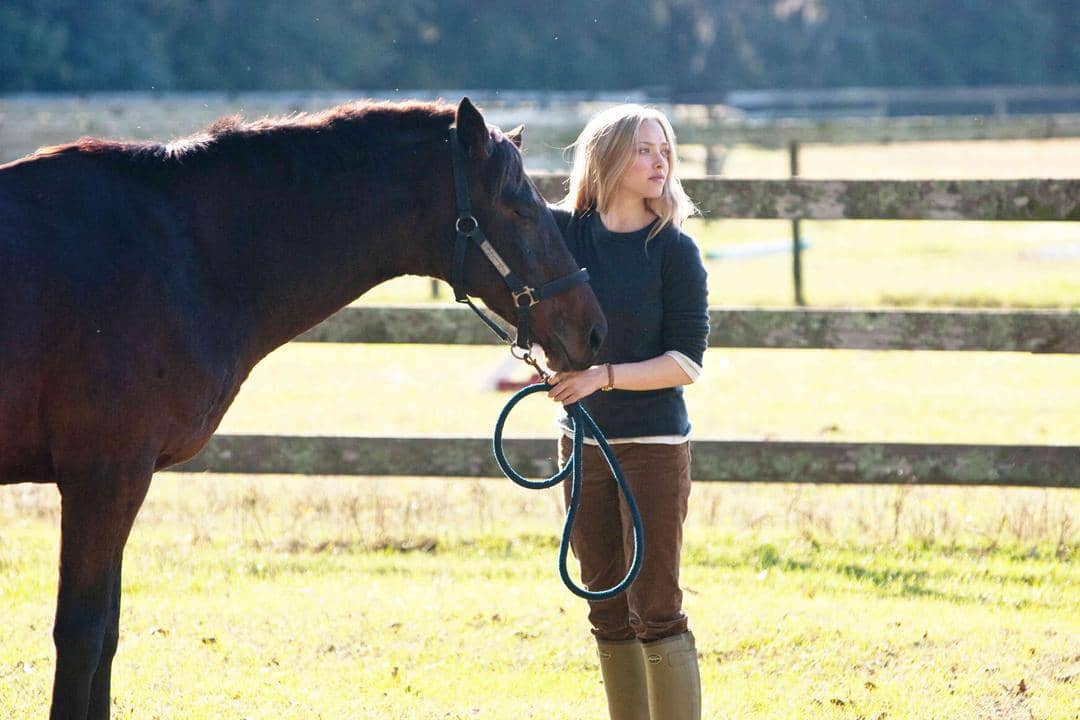 Dear John/Nicholas Sparks/Screen Gems/aceshowbiz.com