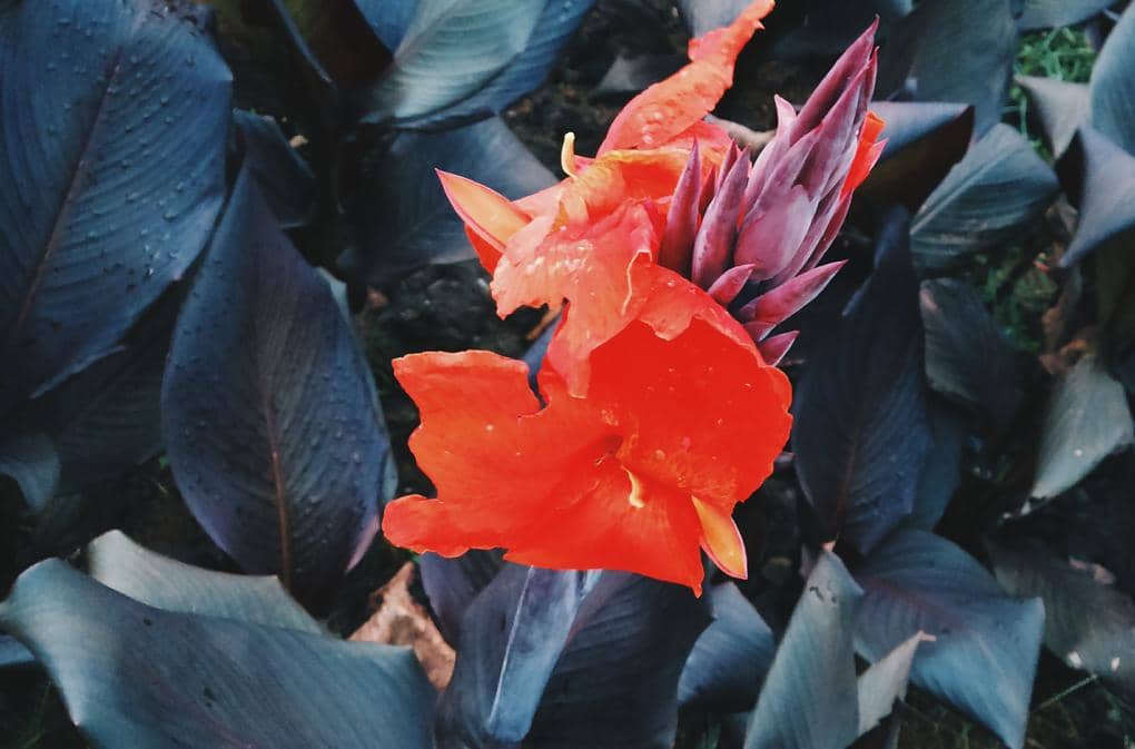 Photo: Michael Richards / Popbela