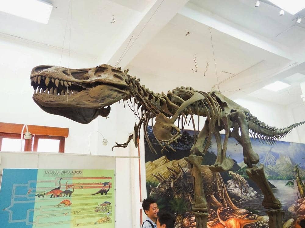 szasadiandra.blogspot.co.id