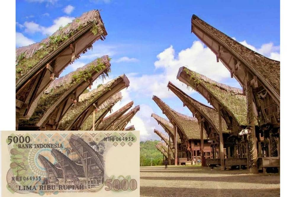 torajatourismboard.com