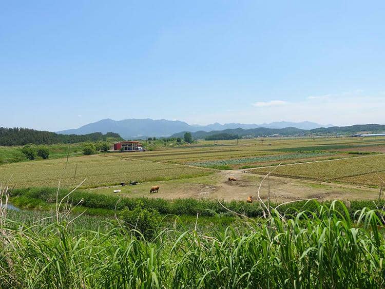 Photo credit: Jacob Laukaitis