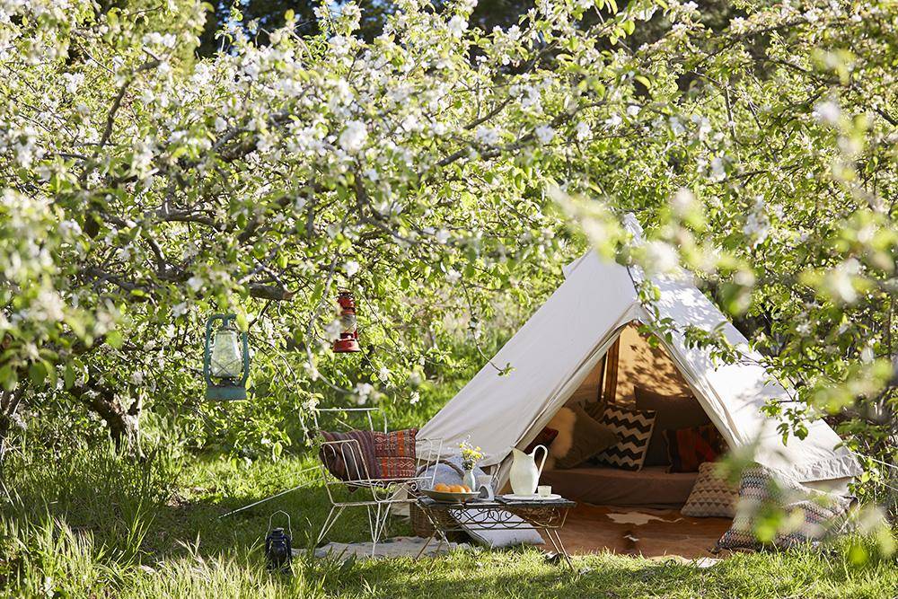 www.belltent.com.au