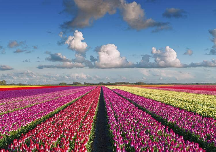 blog.radissonblu.com