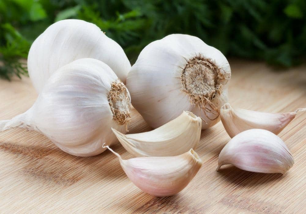 Dok. petinsurance.com