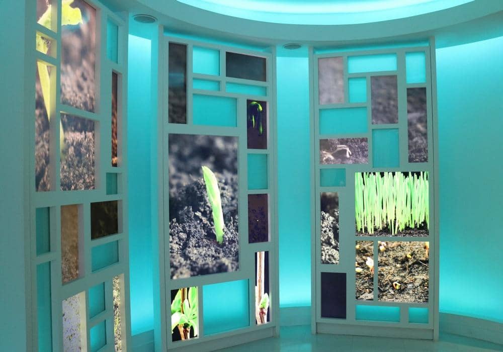 Dok. Popbela/Grace Kelly