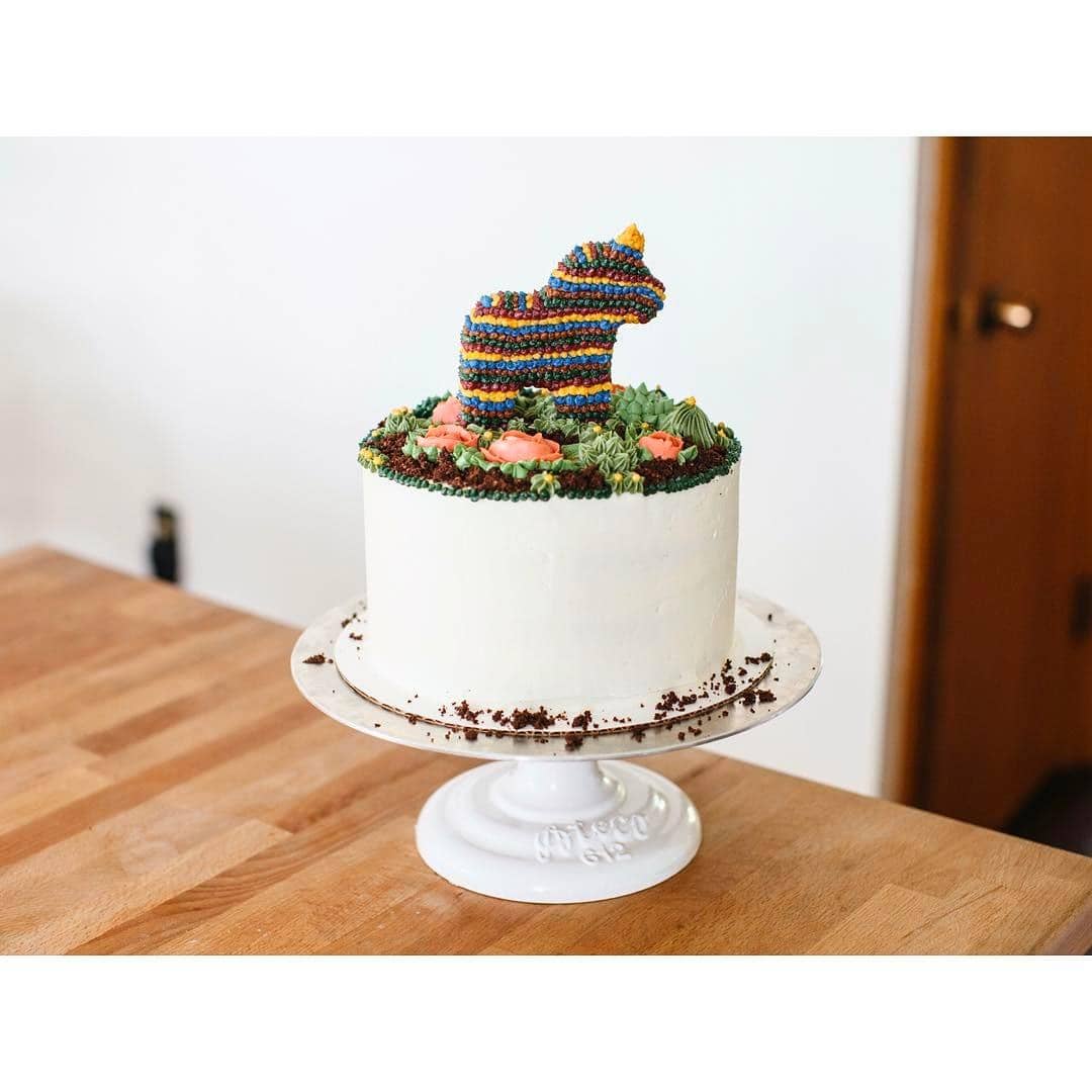 Instagram: @mollyyeh