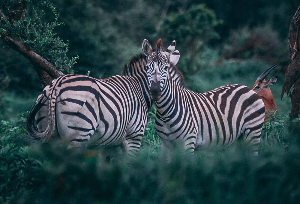 [Foto Ilustrasi] via: unsplash.com