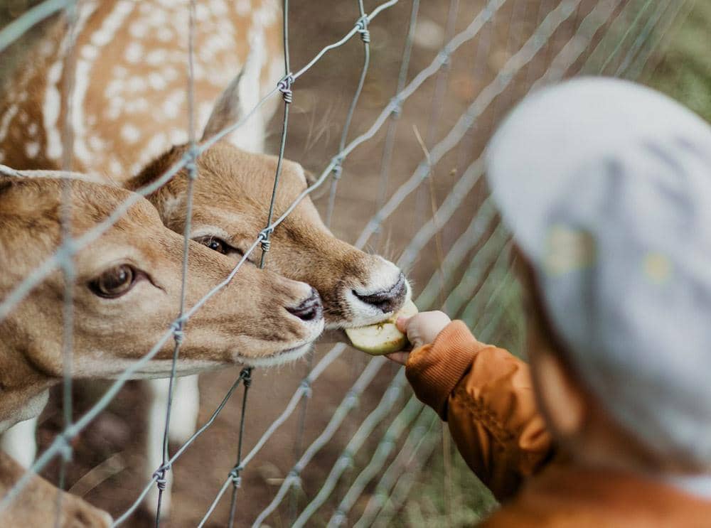 [Foto Ilustrasi] via: unsplash.com