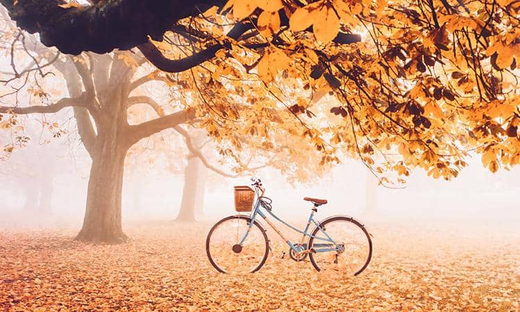 instagram.com/hobopeeba ipai