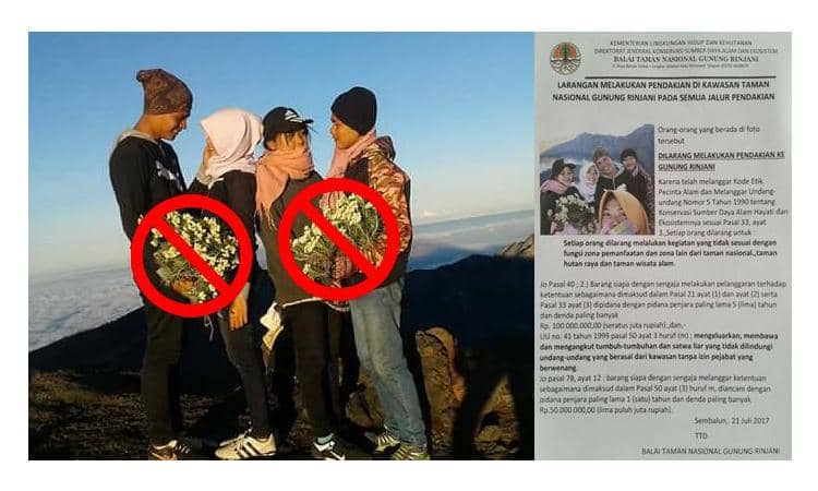 Tribun Style - Tribunnews.com