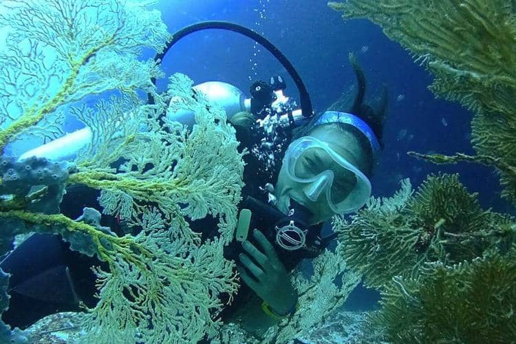 Instagram: @nadinelist