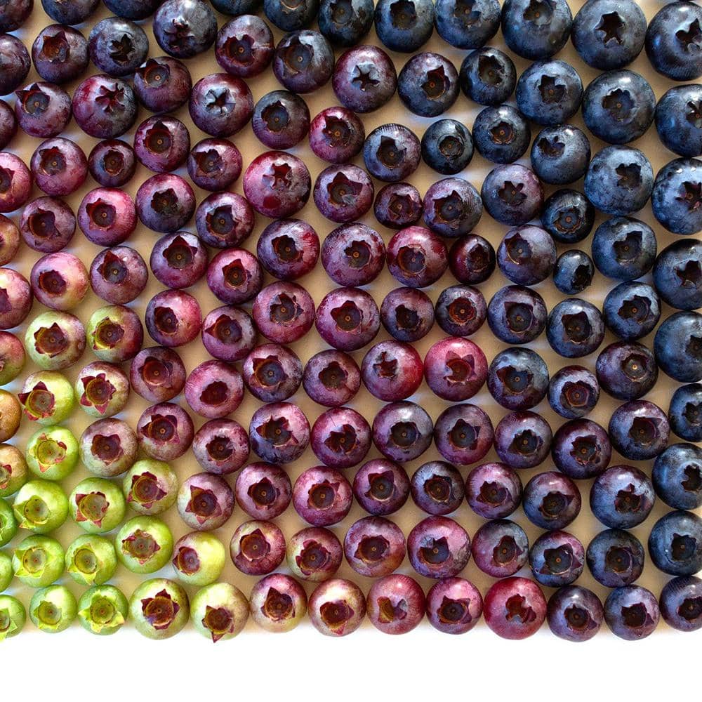 Brittany Wright courtesy of Little, Brown and Company