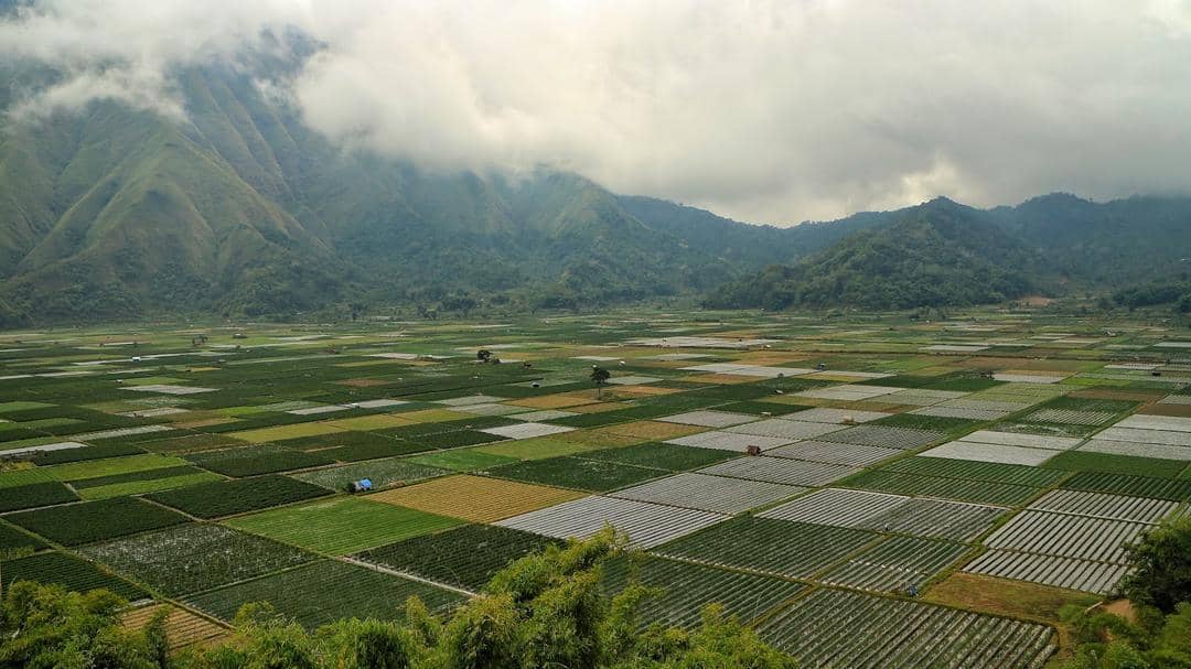 googleusercontent.com