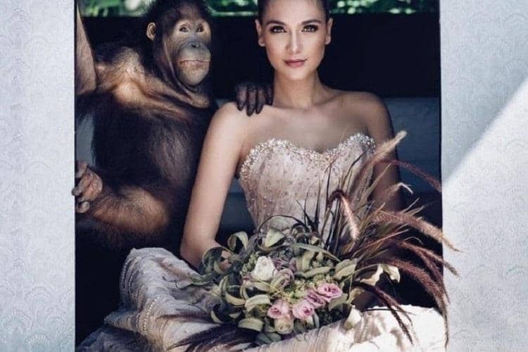 instagram.com/bosfoundation