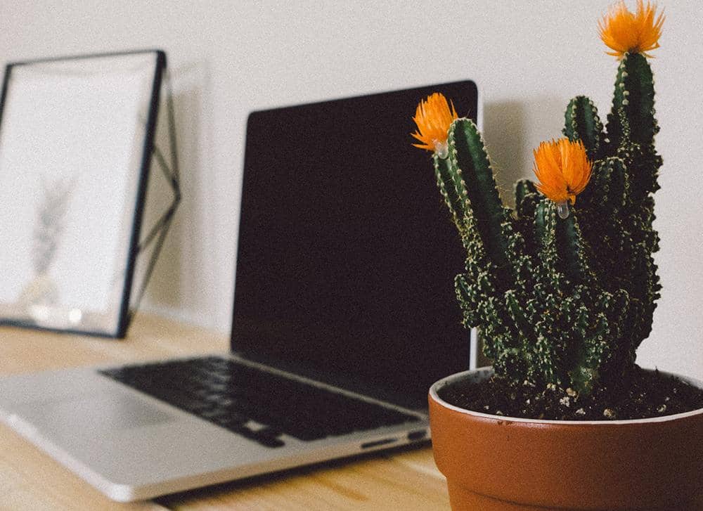 Unsplash.com/Scott Webb