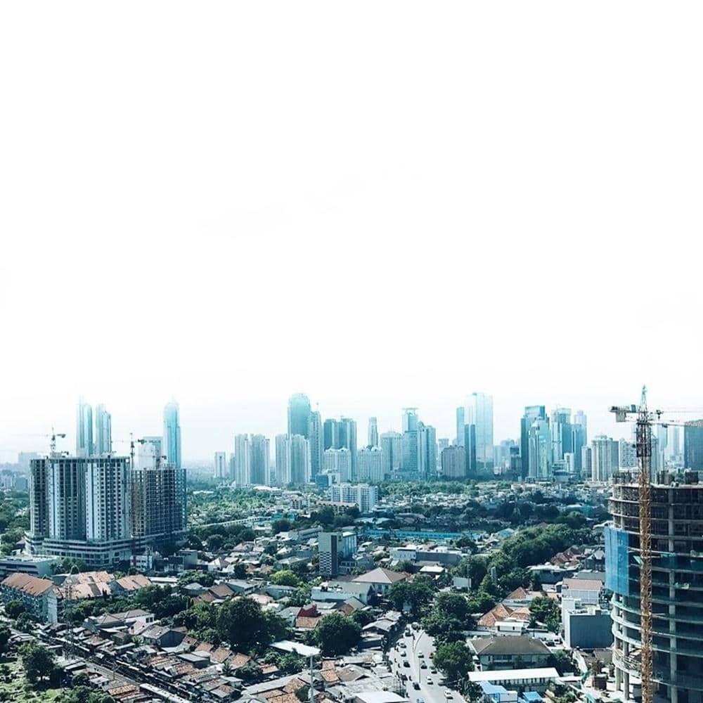 instagram.com/greyspolii