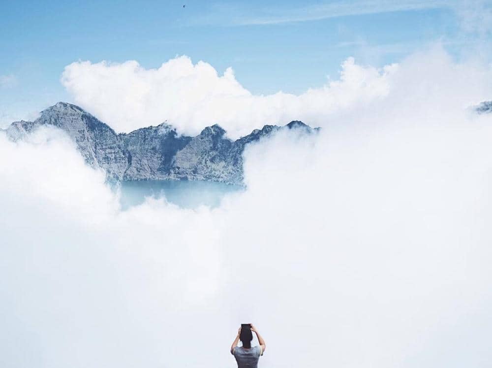 instagram.com/greyspolii