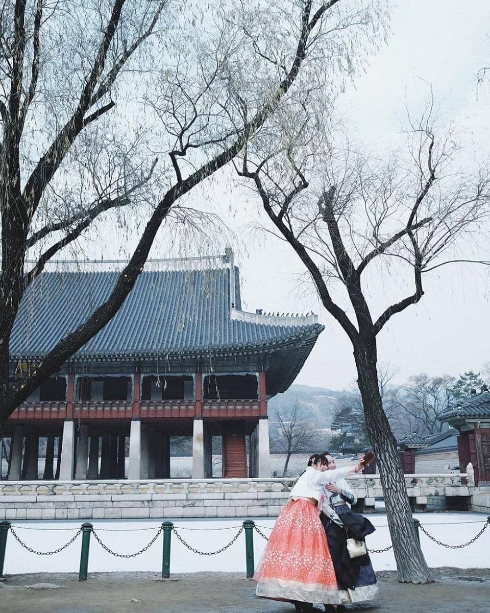 instagram.com/greyspolii