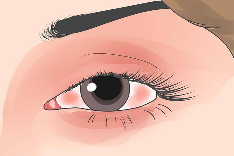 wikihow.com