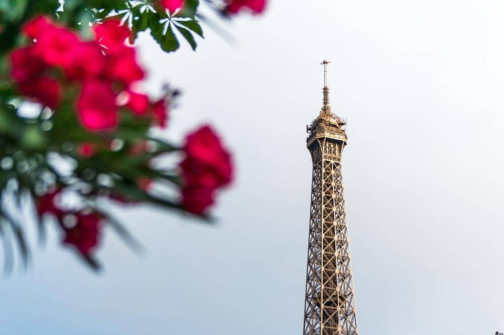 unsplash.com/Jacob Peters-Lehm