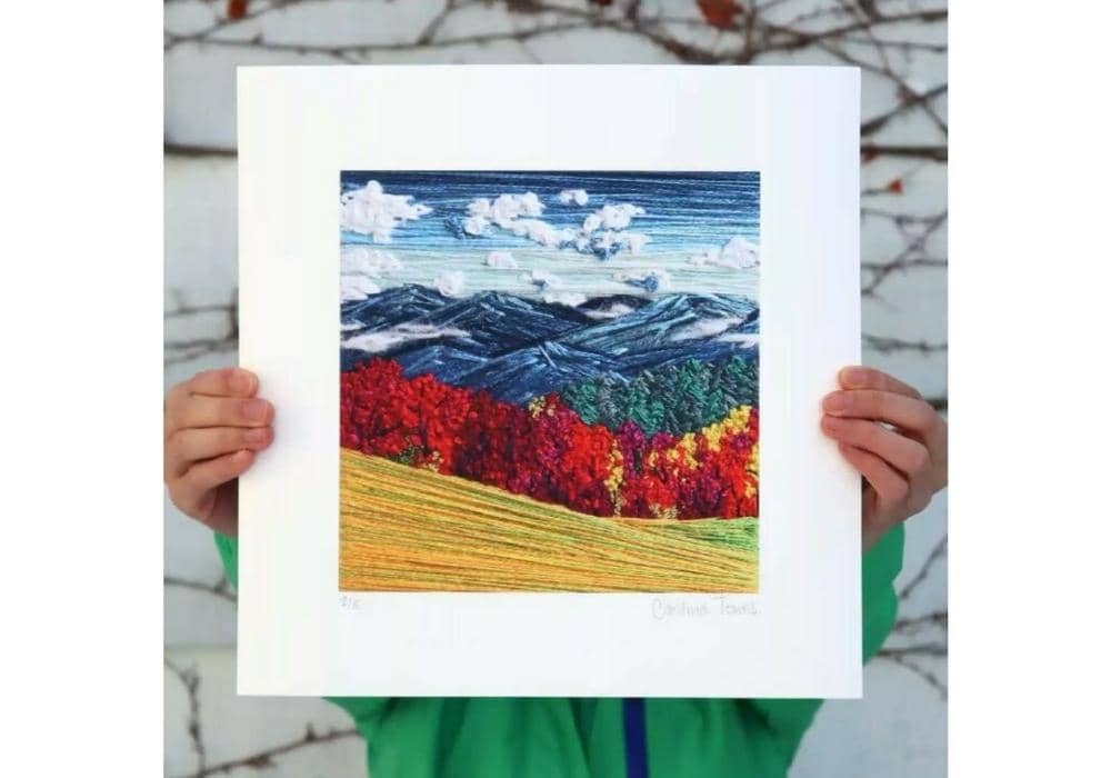 instagram.com/carolinatorrestart