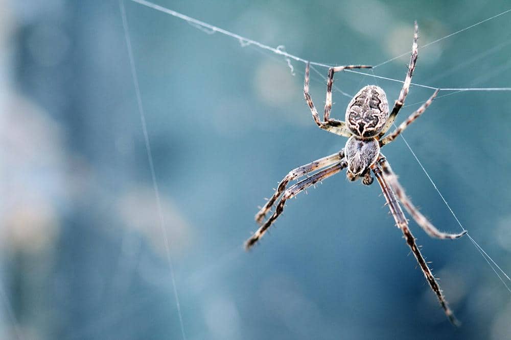 unsplash.com/Dev Leigh