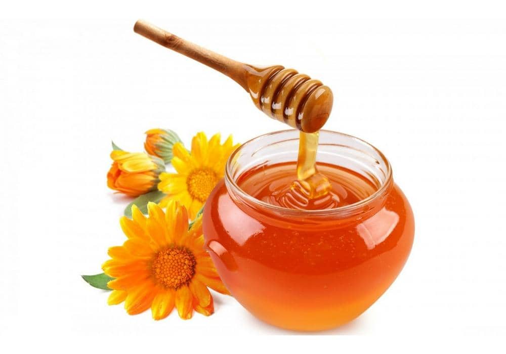 forestproduct.com.vn